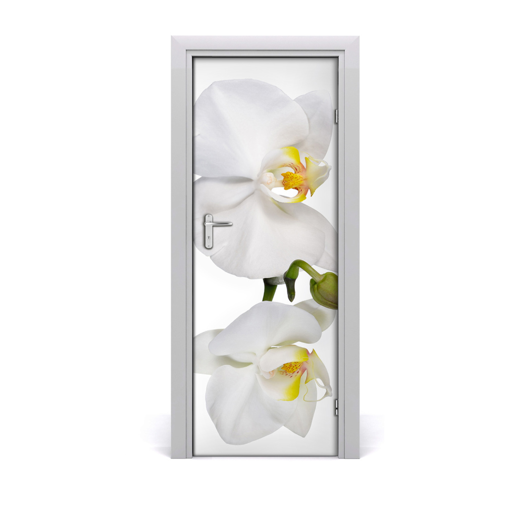 Ajtóposzter Fehér orchidea