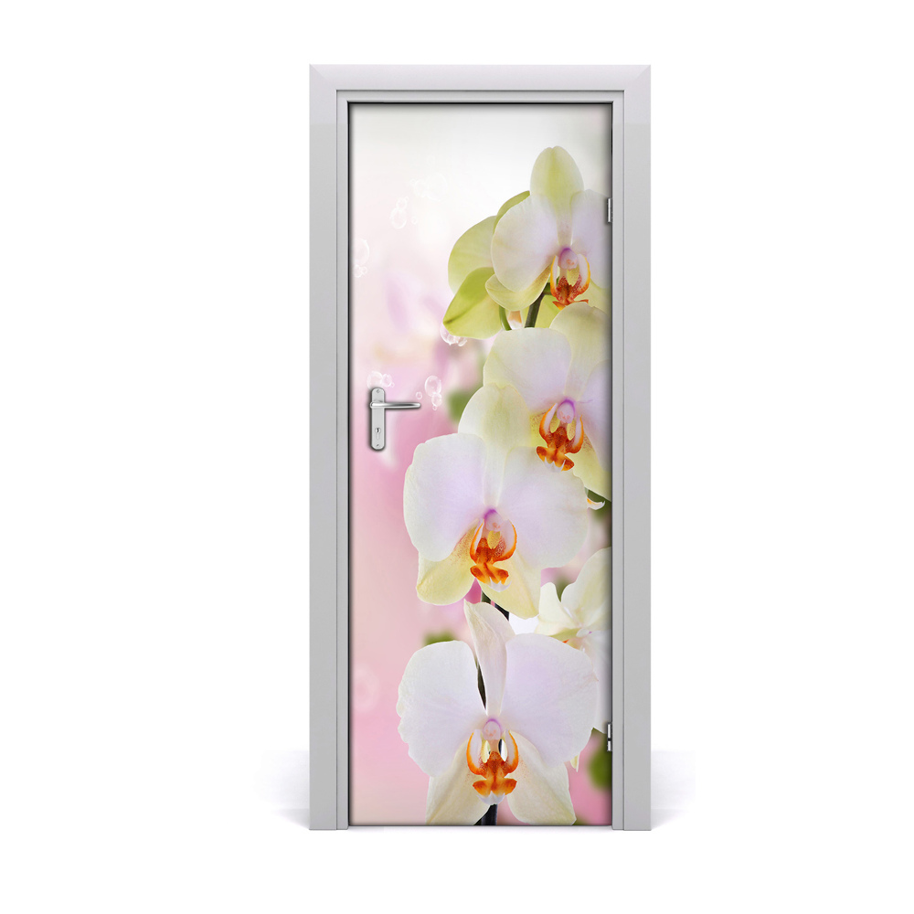 Poszter tapéta ajtóra Fehér orchidea