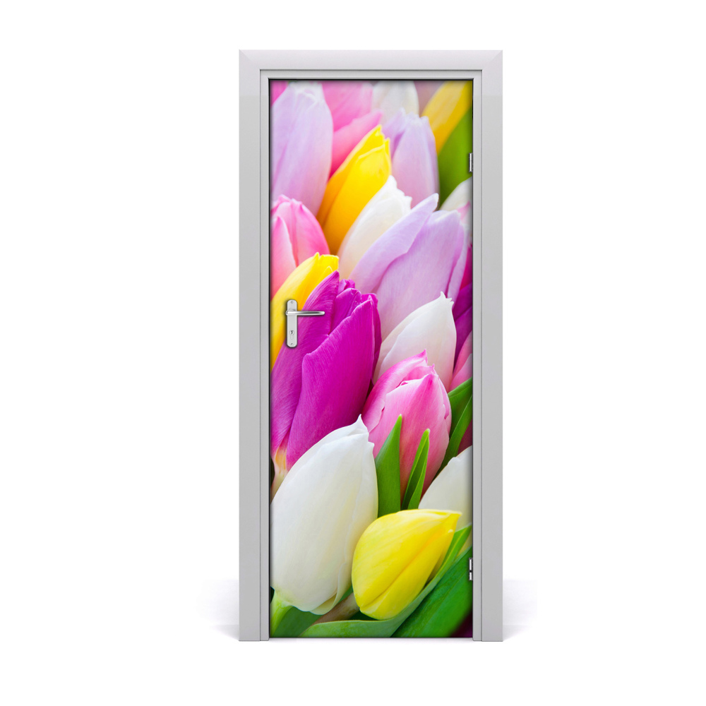 Ajtóposzter Színes tulipánok