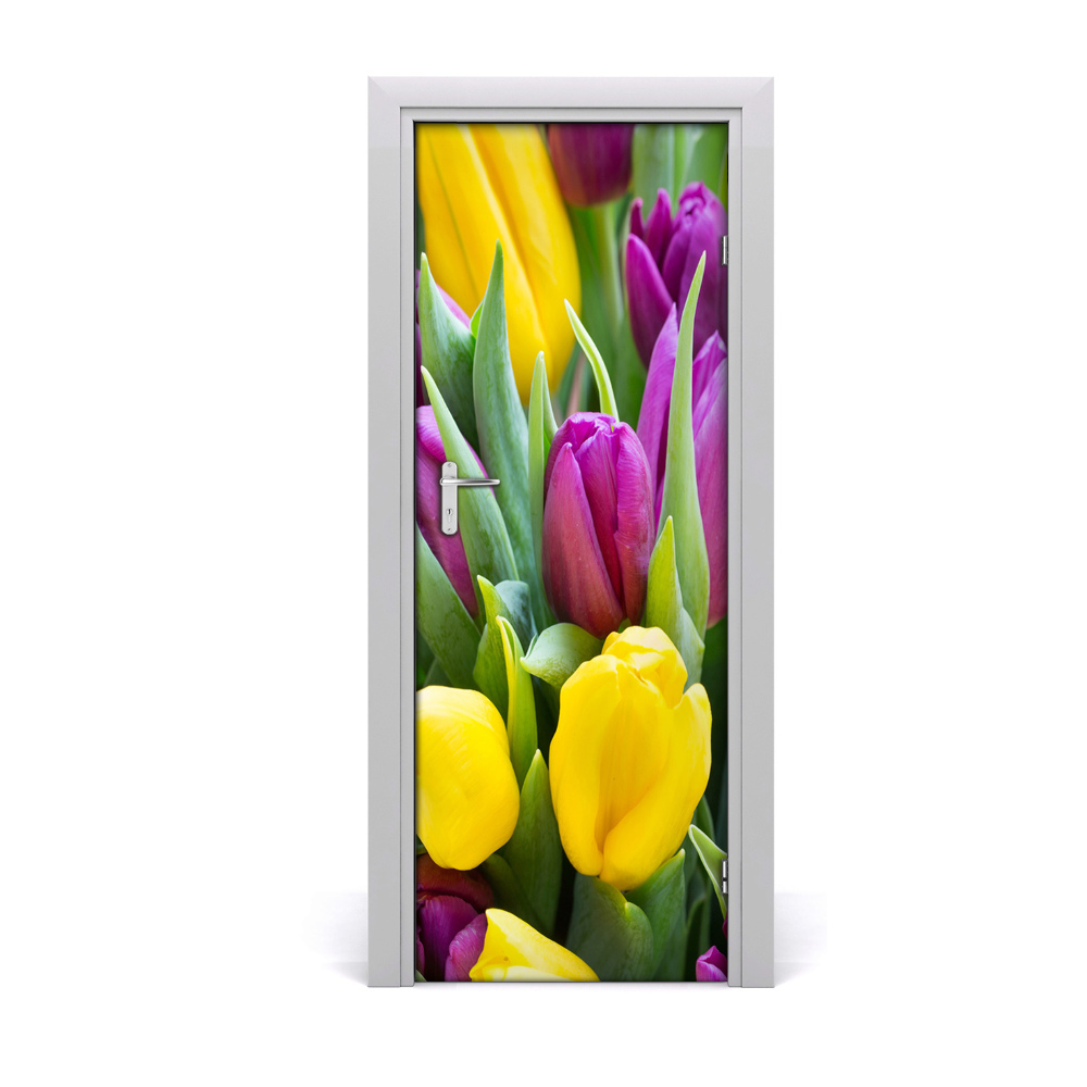 Ajtó méretű poszter Színes tulipánok