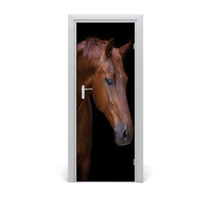 Poszter tapéta ajtóra Lóportré
