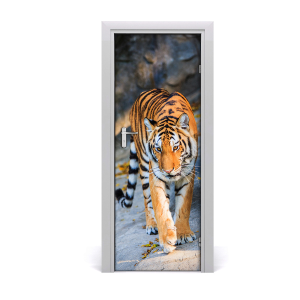 Ajtóposzter öntapadós Tigris