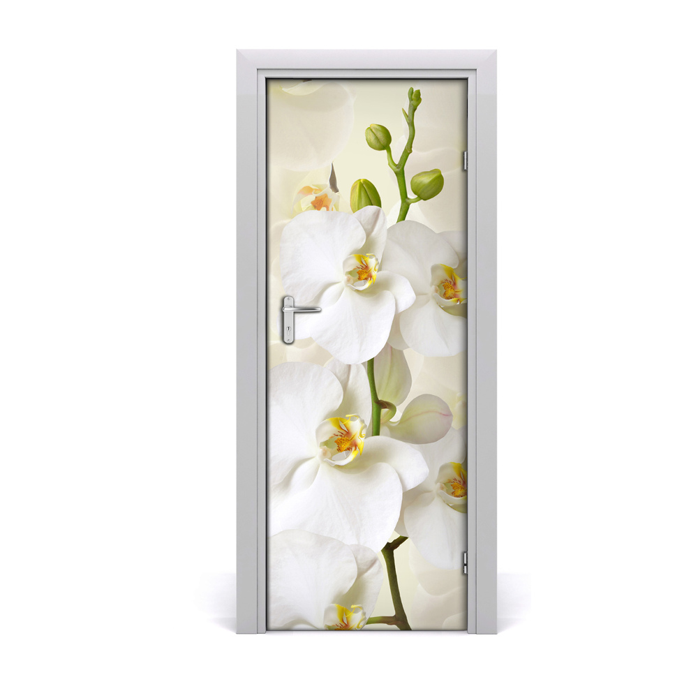 Ajtó méretű poszter Fehér orchidea