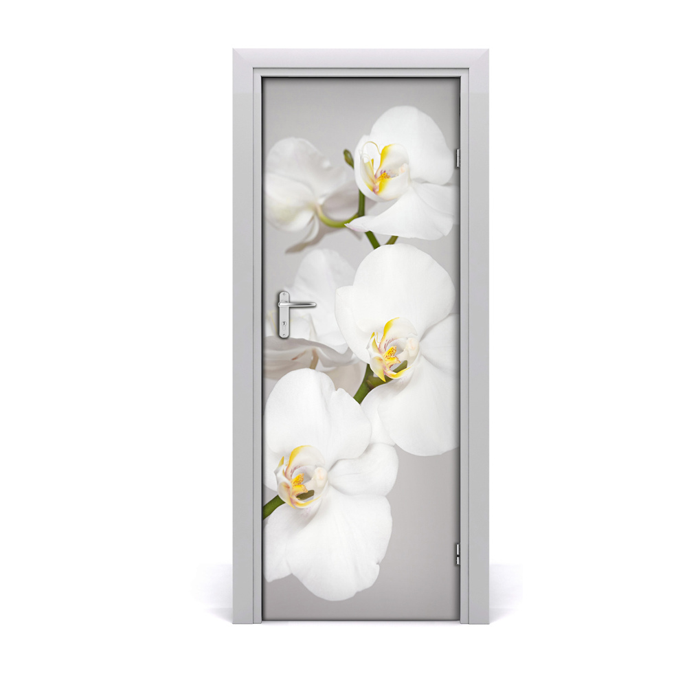 Ajtóposzter öntapadós Fehér orchidea
