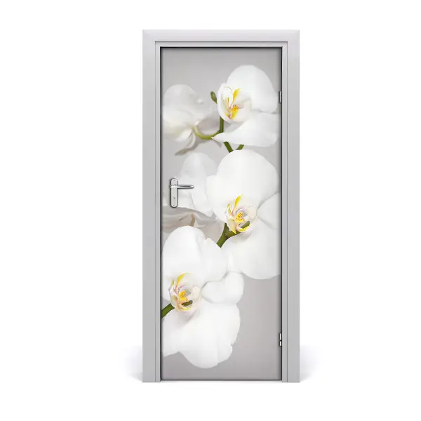 Ajtóposzter öntapadós Fehér orchidea