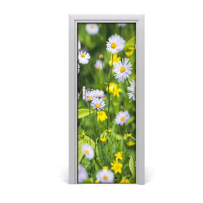 Fotótapéta ajtóra Százszorszépek a réten