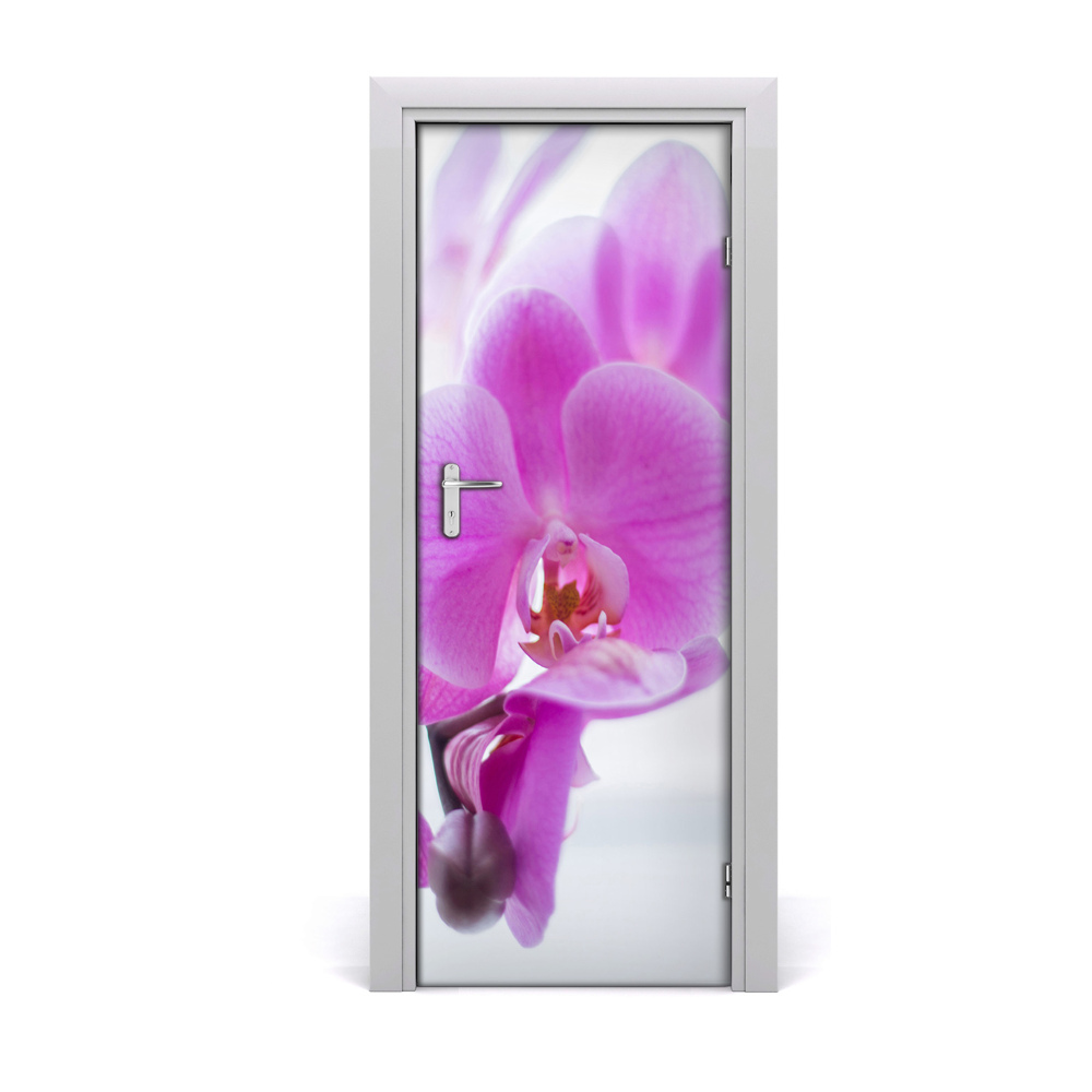 Ajtómatrica Rózsaszín orchidea