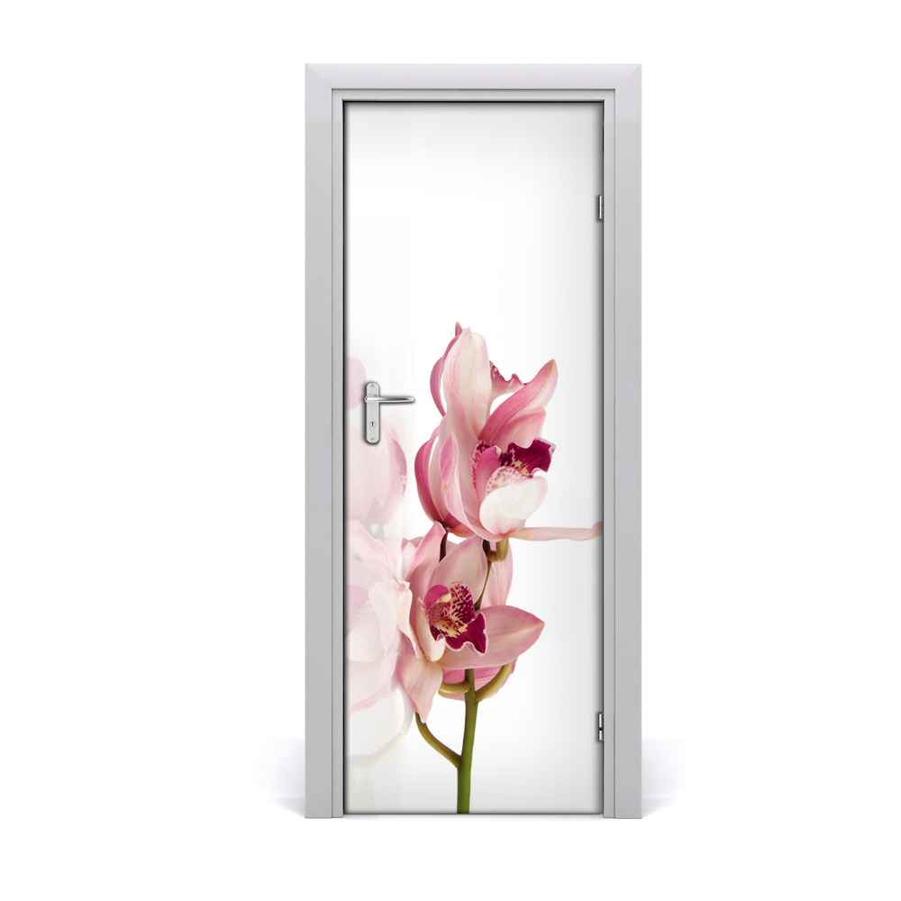 Ajtóposzter Rózsaszín orchidea