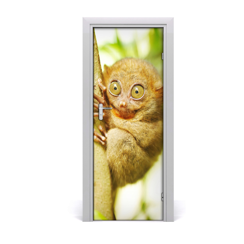 Ajtóposzter öntapadós Egy átszellemült tarsier