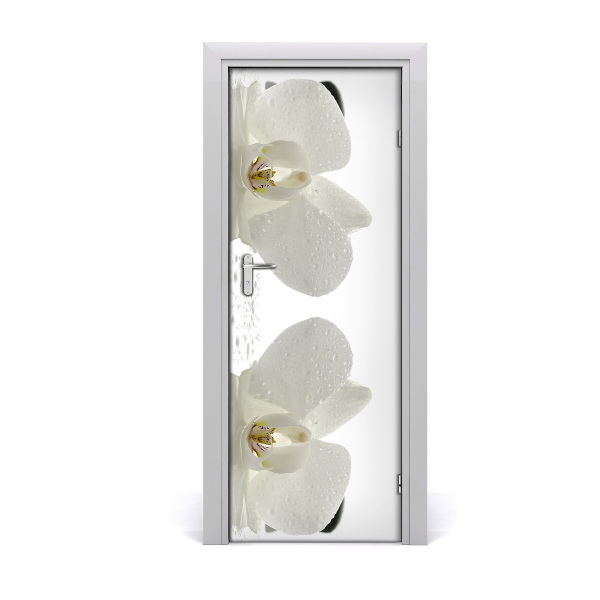 Ajtóposzter öntapadós Orchidea és kövek