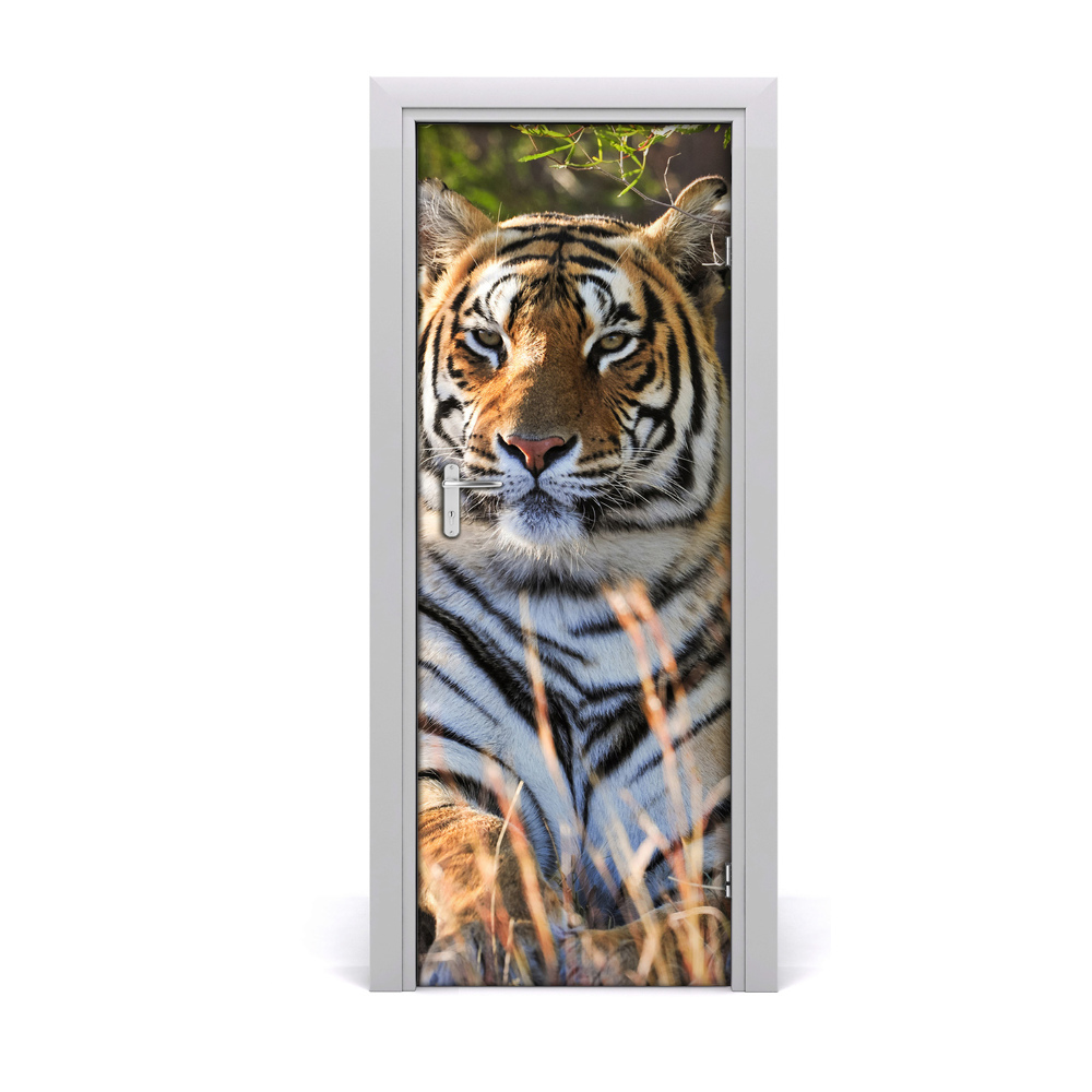 Fotótapéta ajtóra Tigris