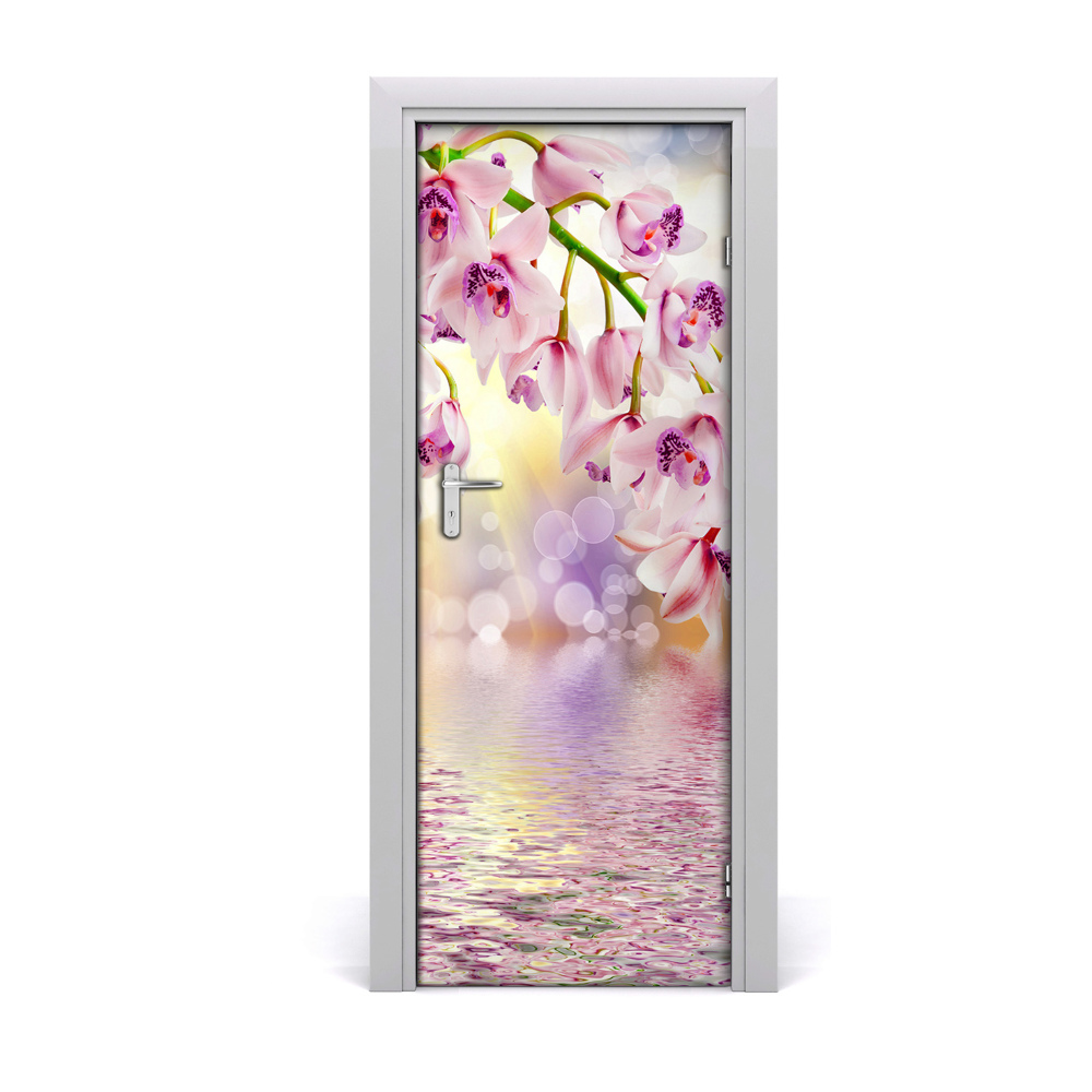 Ajtóposzter Vízi orchidea