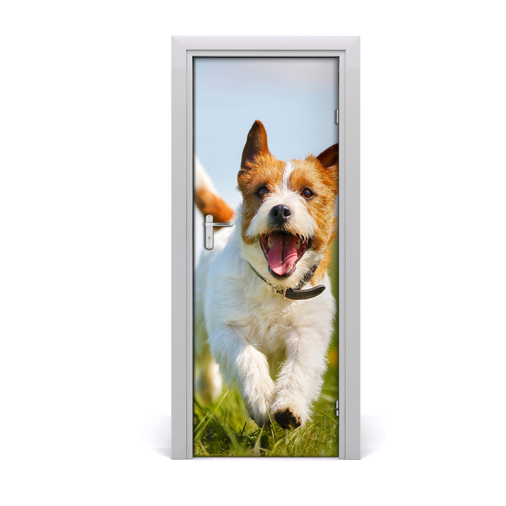 Ajtómatrica Jack Russell kutya