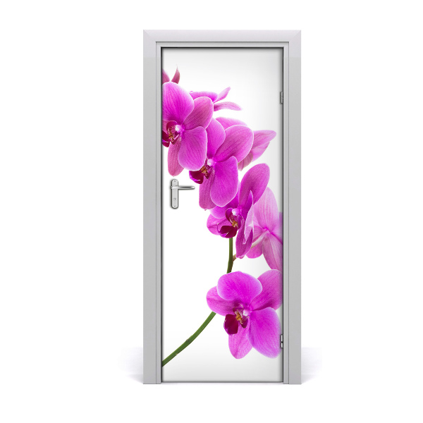 Ajtó méretű poszter Rózsaszín orchidea