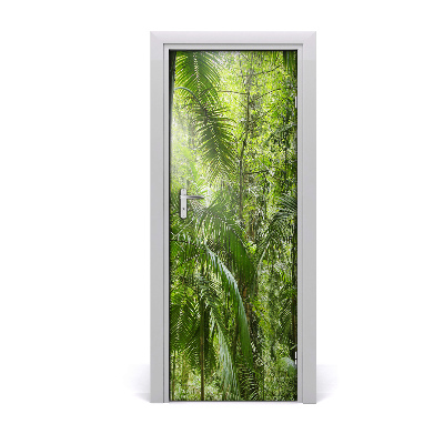 Ajtó méretű poszter Pálmafa esőerdő