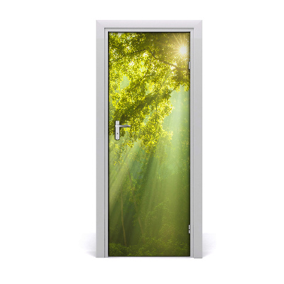 Ajtó tapéta Nap egy fiatal erdőben