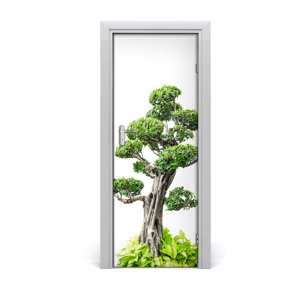 Ajtóposzter öntapadós Bonsai fa