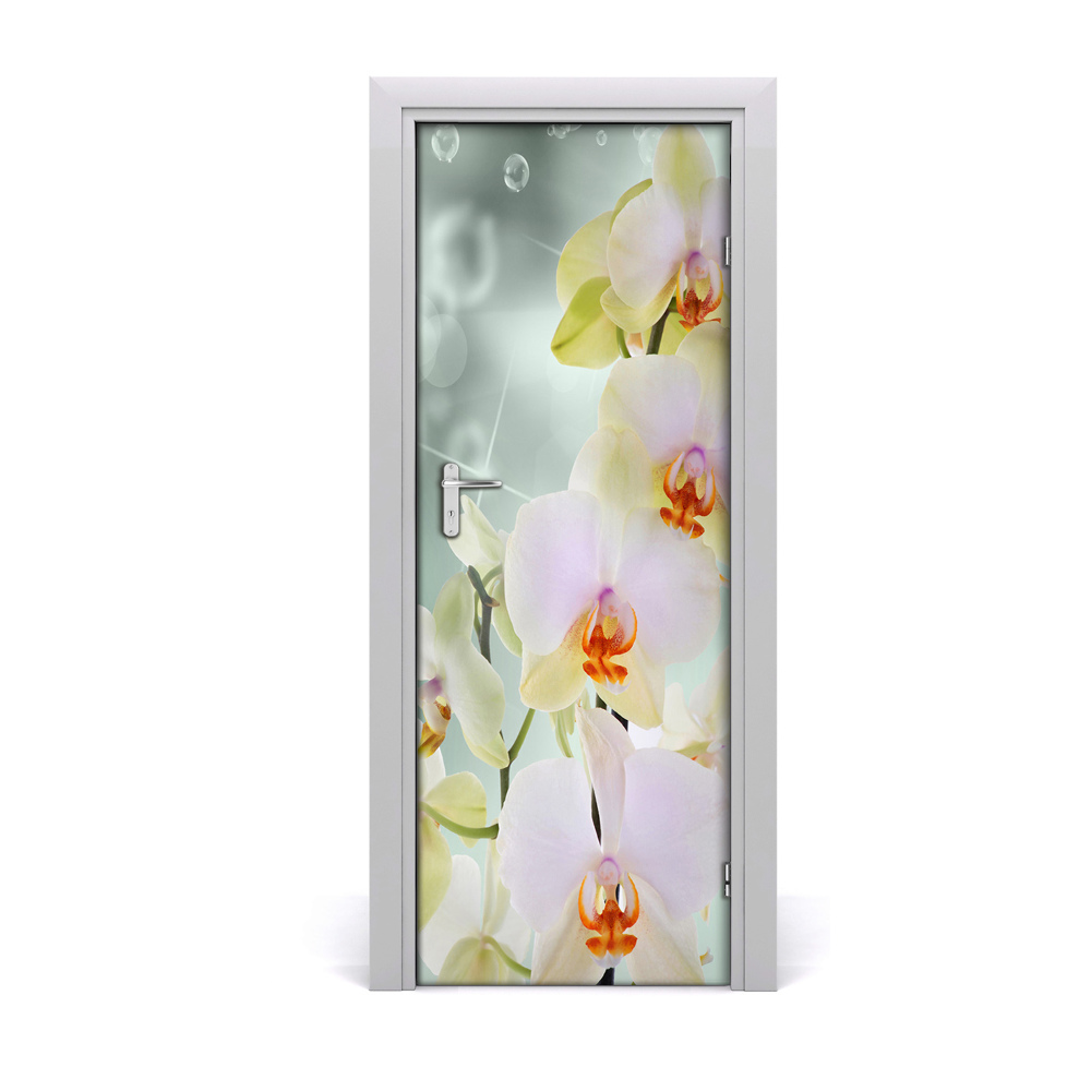 Ajtó tapéta Orchidea virág