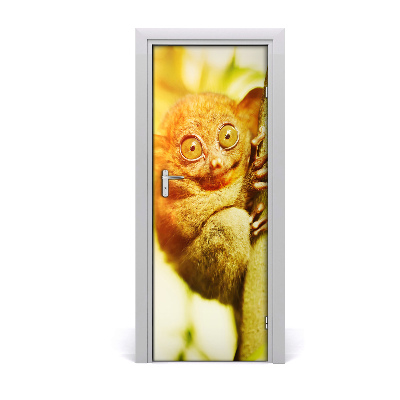Ajtóposzter öntapadós Egy átszellemült tarsier