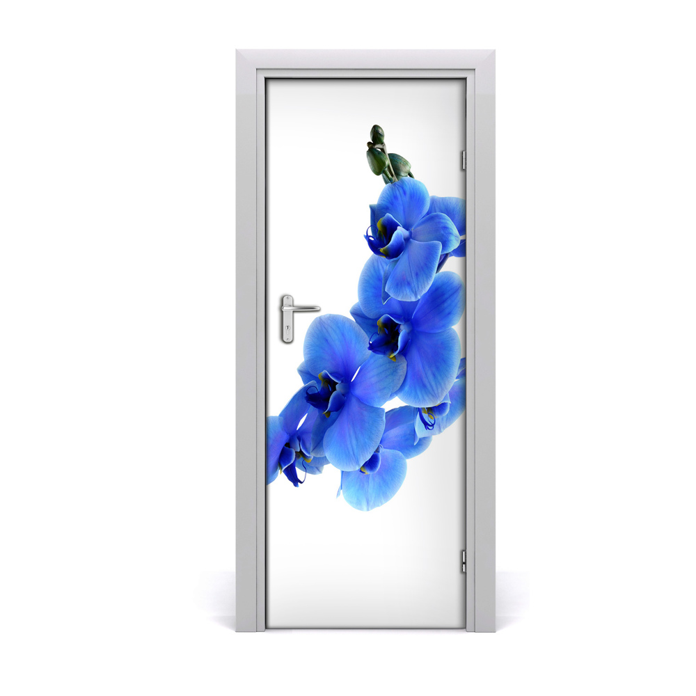 Ajtó méretű poszter Kék orchidea