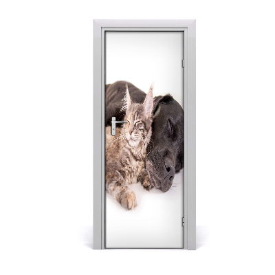Fotótapéta ajtóra Kutya és macska