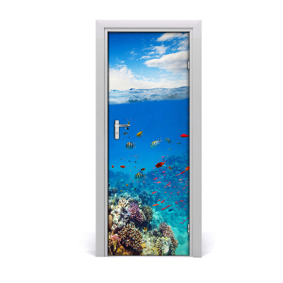 Ajtómatrica Korallzátony hal