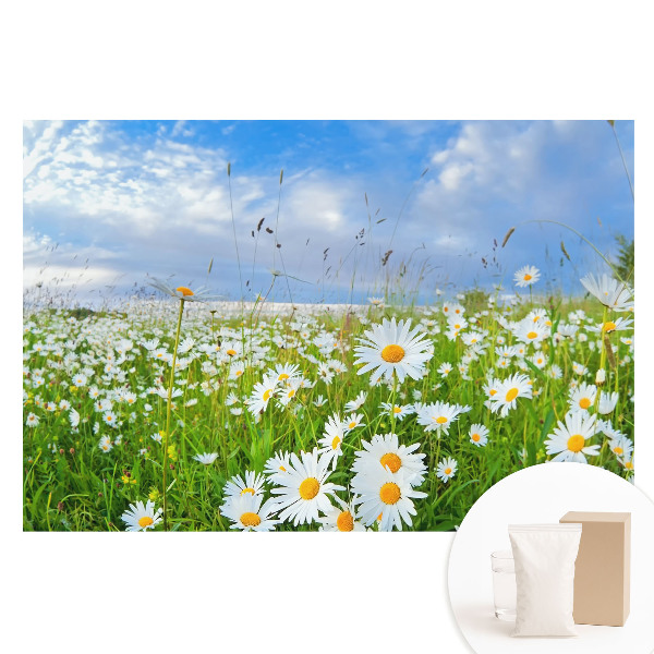 Nagyméretű fotótapéta a falra Egy virágos rét nyáron