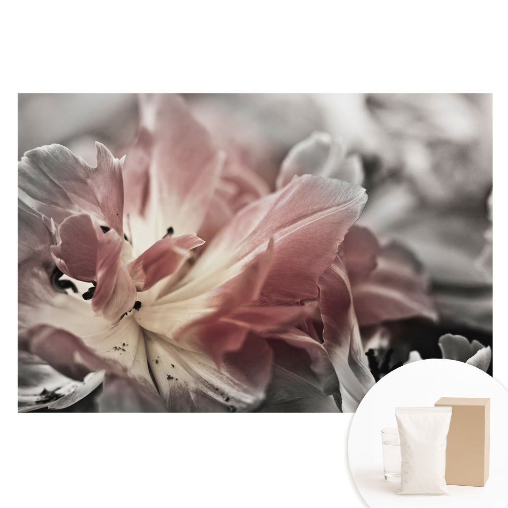 Nem szőtt anyagra nyomtatott fotótapéta Finom virágszirmok közeli képe