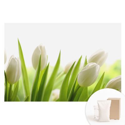 Finom fehér tulipánok mintás vlies fotótapéta modern eleganciával