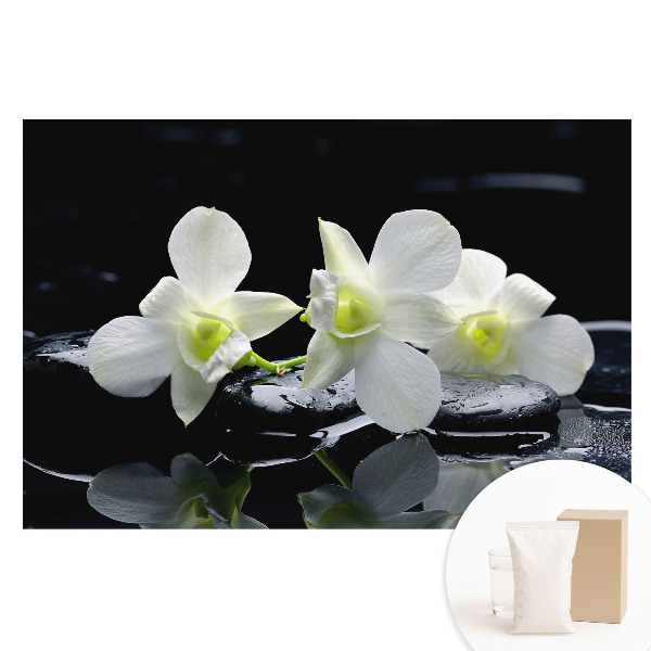 Fotótapéta nem szőtt anyagon Fehér orchideák köveken.