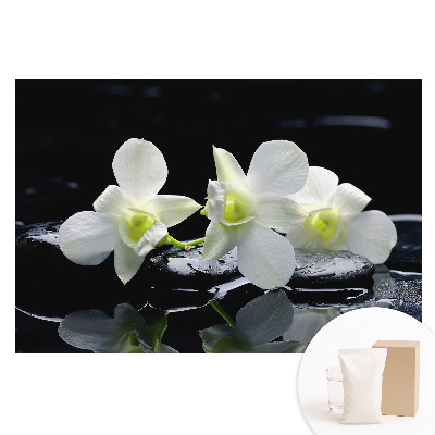 Fotótapéta nem szőtt anyagon Fehér orchideák köveken.