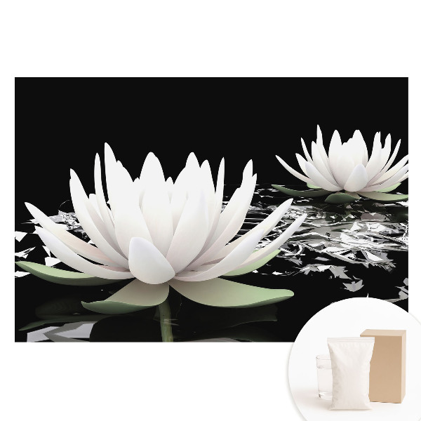 Nem szőtt fotótapéta Elegáns tavirózsák sötét háttér előtt