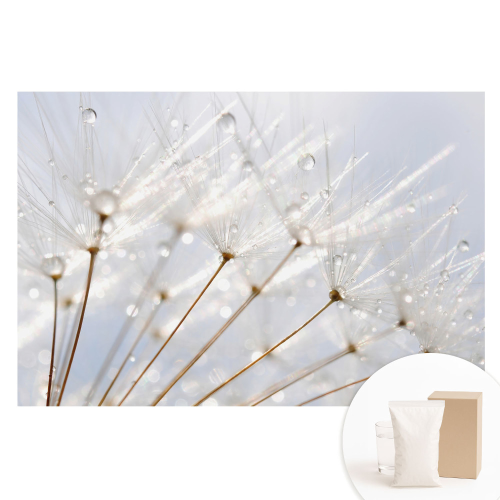 Nem szőtt tapéta nyomtatással Pitypang harmatcseppekkel