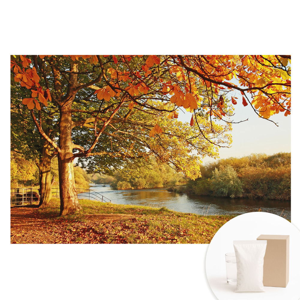 Nem szőtt tapéta nyomtatással Őszi folyóparti táj, nyugodt színek