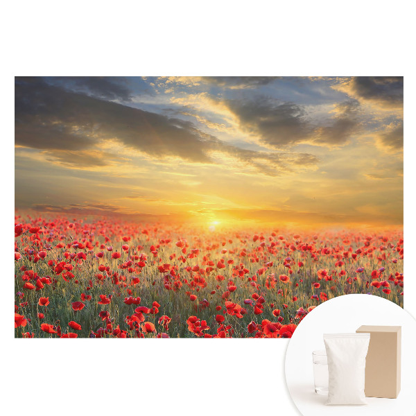Nem szőtt fotótapéta Pipacsmező reggel, lenyűgöző naplemente
