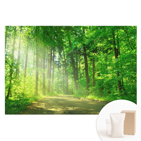 Nem szőtt anyagra nyomtatott fotótapéta Zöld erdő nap béke