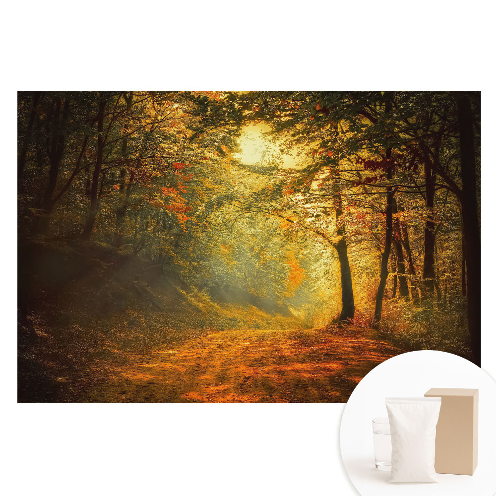 Nem szőtt tapéta Az őszi erdő varázsa