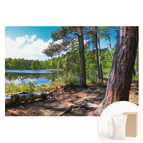 Nem szőtt fotótapéta Erdős táj a tóparton, természetes béke