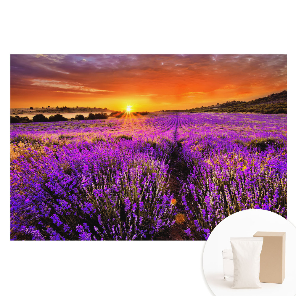 Fotótapéta nem szőtt anyagon Levendula mezők naplemente