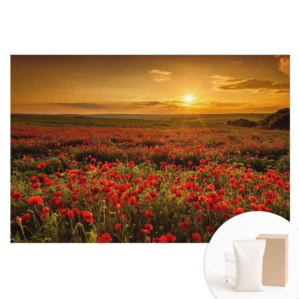Fotótapéta nem szőtt anyagon Naplemente a pipacsmezőn