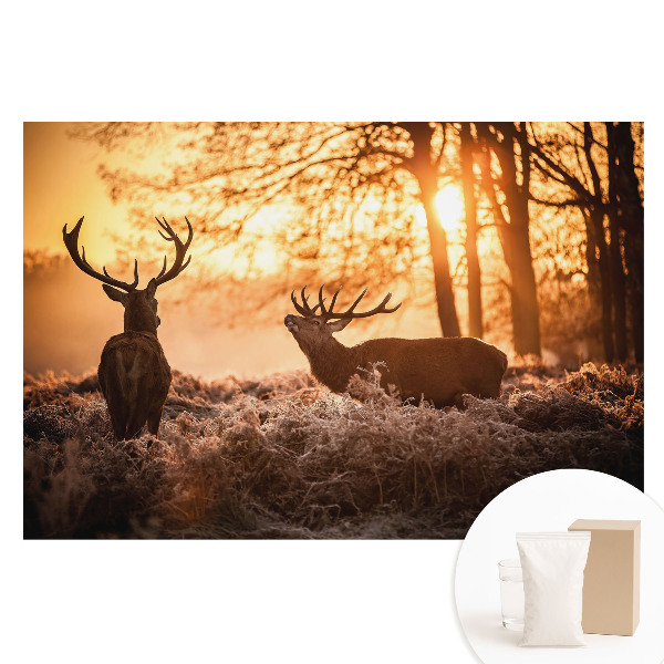 Fotótapéta nem szőtt anyagon Őszi szarvasok a napfelkelte fényében