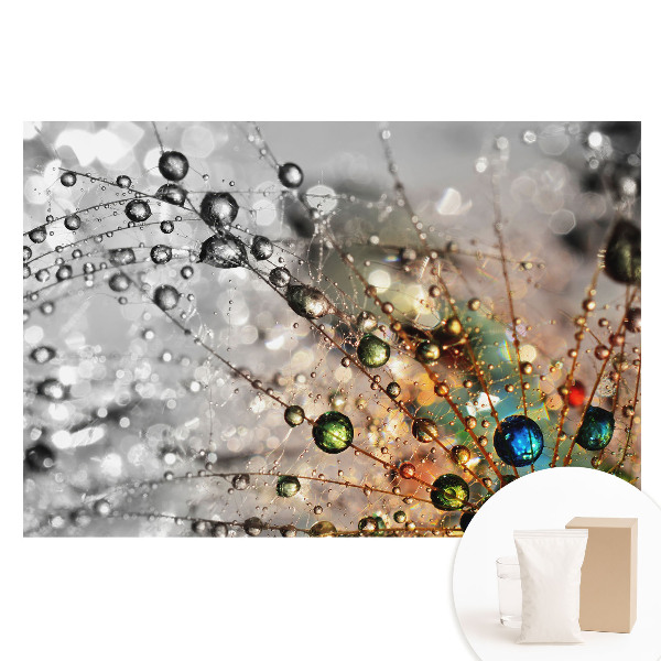 Nem szőtt tapéta nyomtatással A cseppek színei a pókhálón