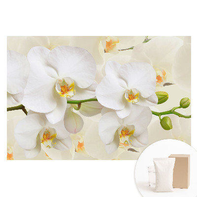 Modern fehér orchidea mintás vlies tapéta