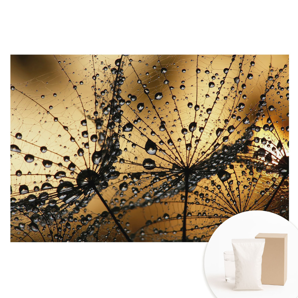 Nagyméretű fotótapéta a falra Elegáns cseppek a hálón a fényben