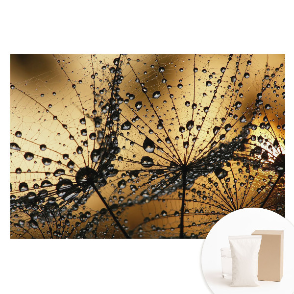 Nagyméretű fotótapéta a falra Elegáns cseppek a hálón a fényben