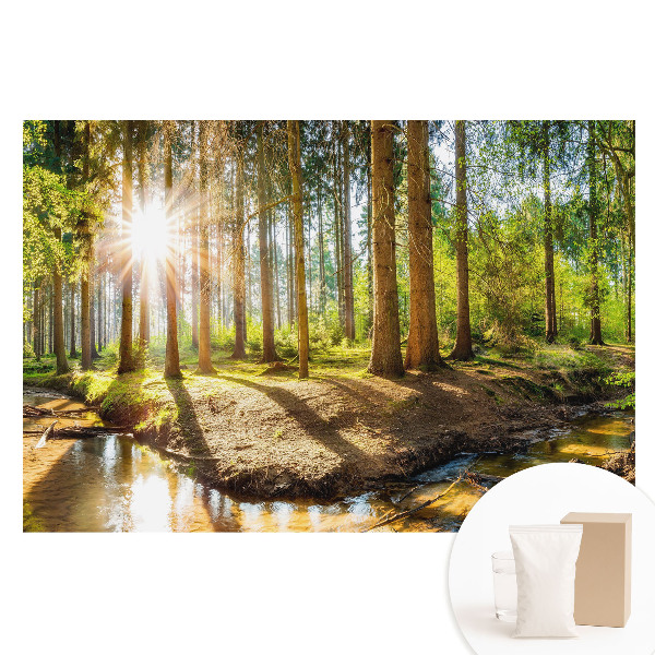 Nem szőtt anyagra nyomtatott fotótapéta Sugárzó nap erdei tájban