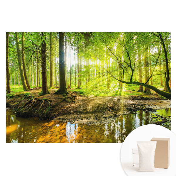 Nem szőtt anyagra nyomtatott fotótapéta Erdő békéje, fény, patak