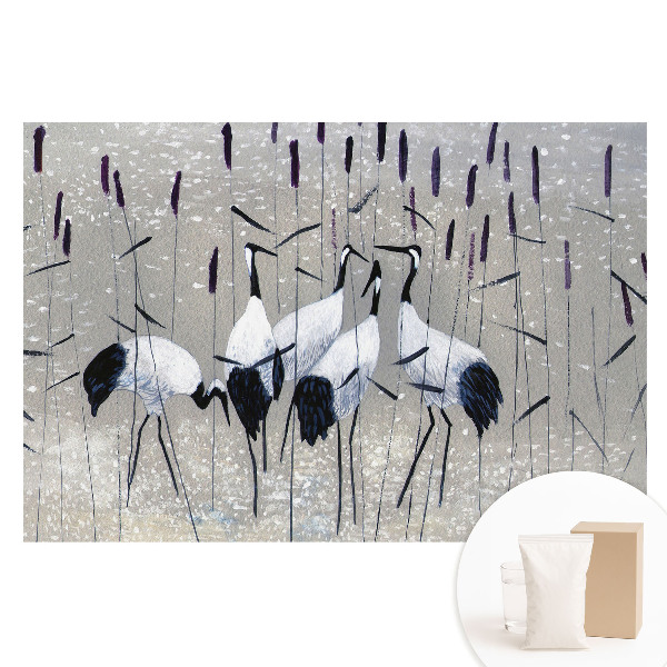 Nem szőtt tapéta Elegáns daruk a fűben