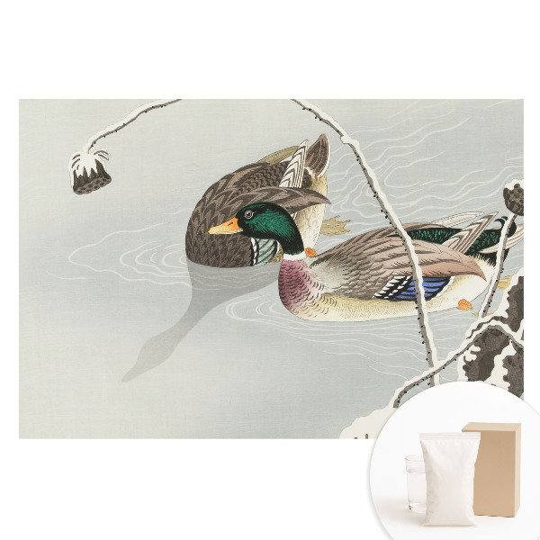 Fotótapéta nem szőtt anyagon Két kacsa a vízen klasszikus stílusban