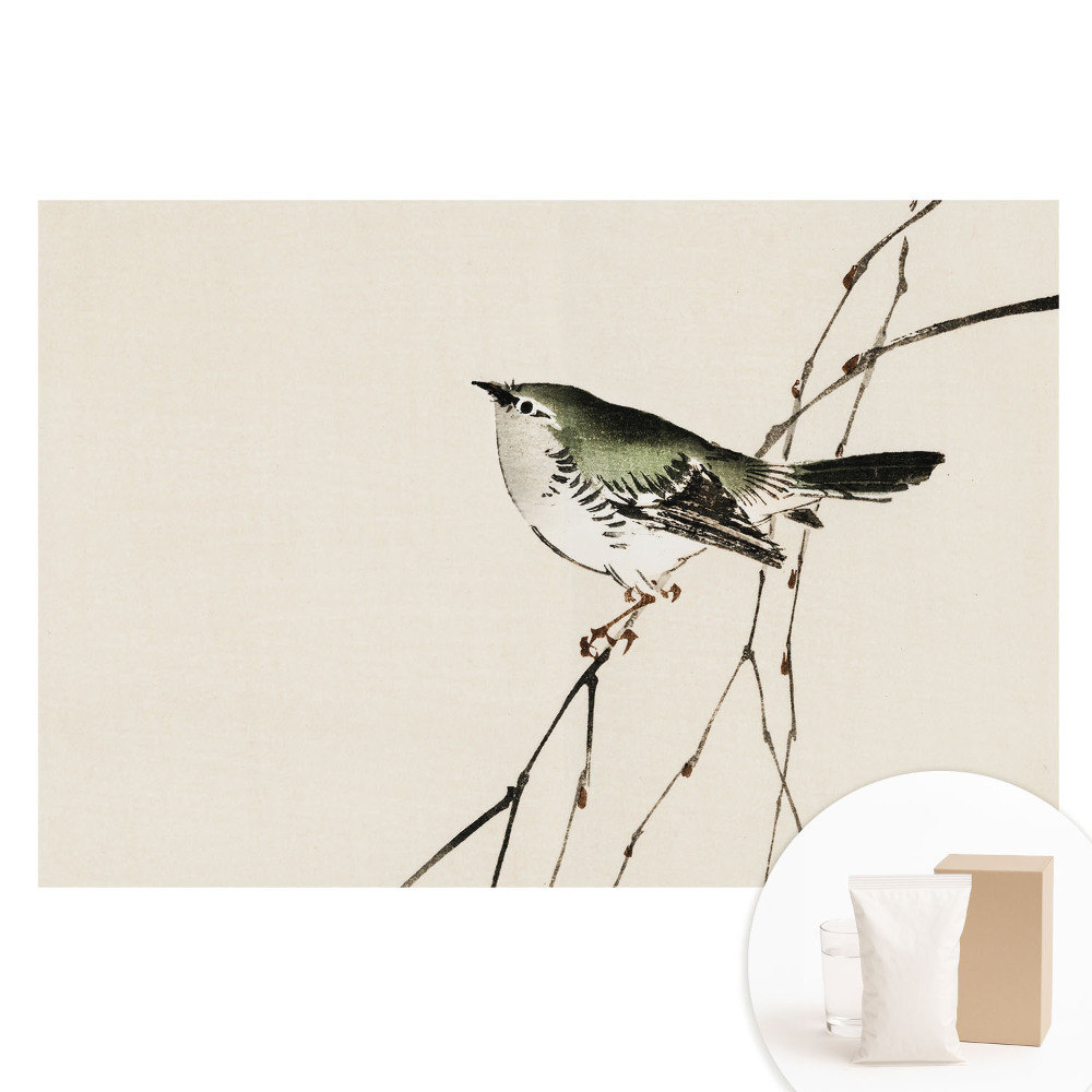 Nem szőtt tapéta Madár egy ágon minimalizmus harmónia.